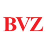 BVZ Holding AG