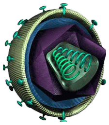 GeoVax Labs, Inc.
