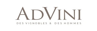 ADVINI