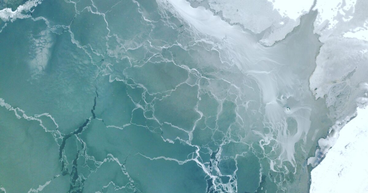 Arctic Fish Holding AS