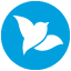 Blue Bird Corp