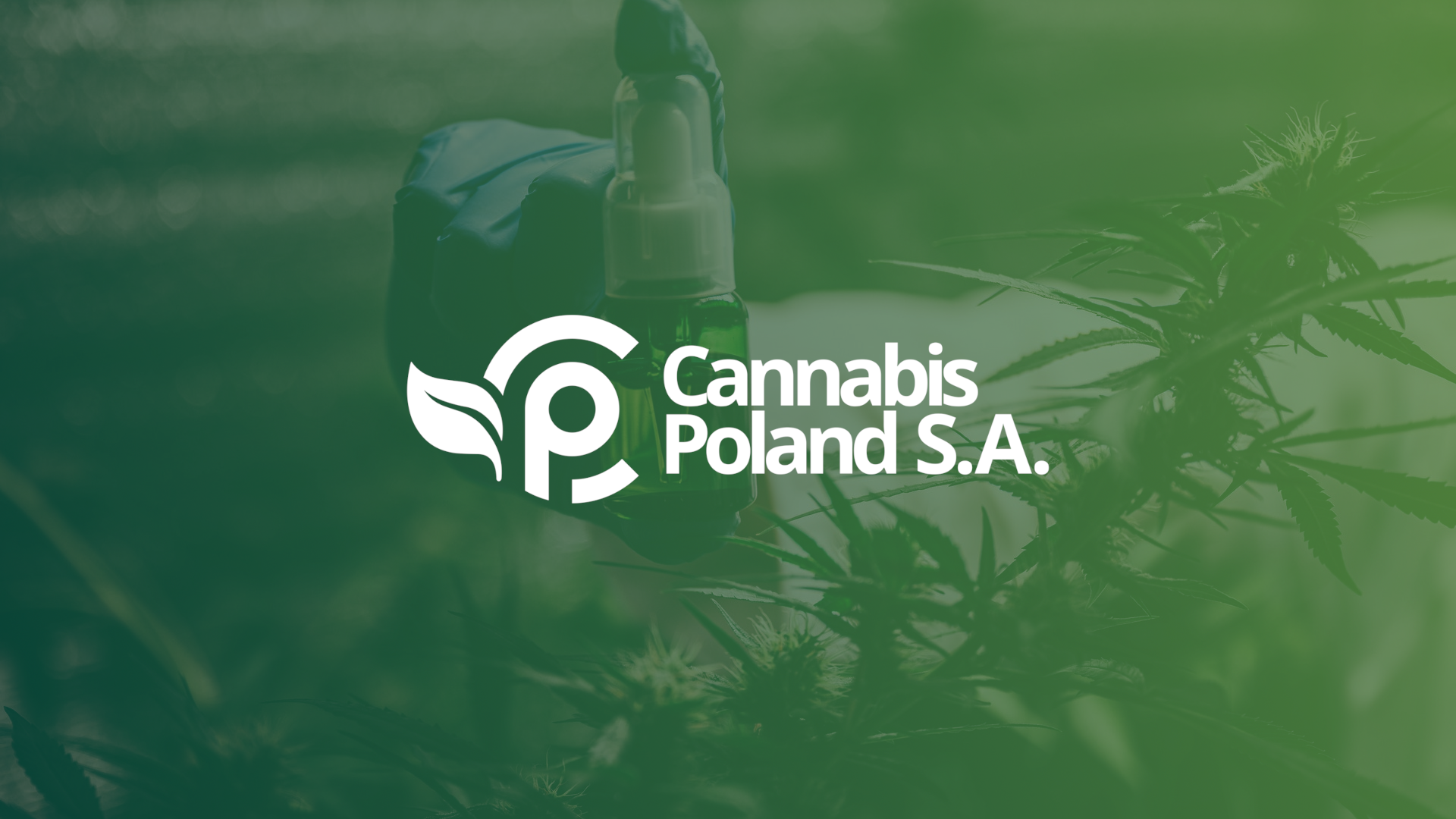 Cannabis Poland S.A.