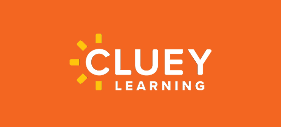 CLUEY LTD