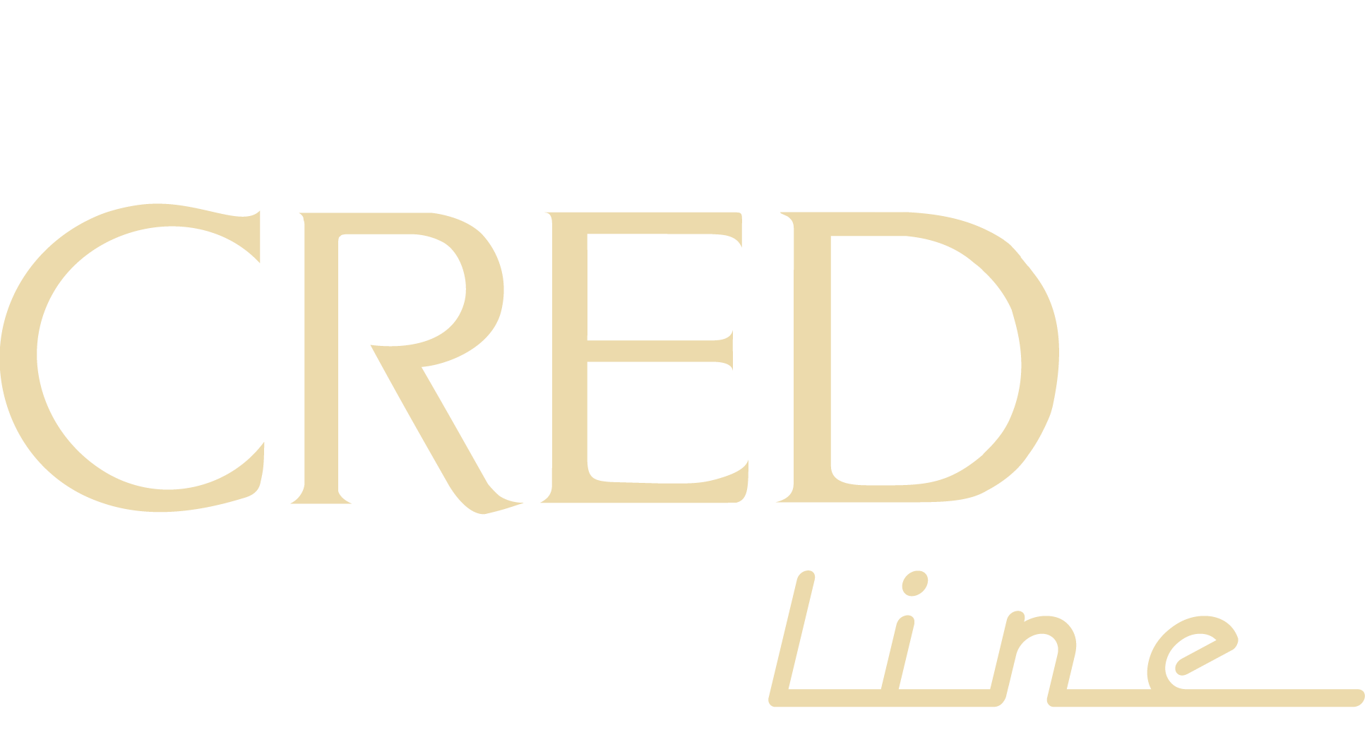 Credo Technology Group Holding Ltd