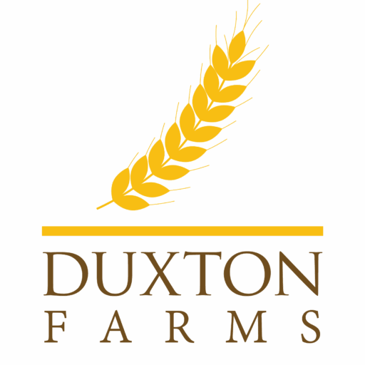DBF