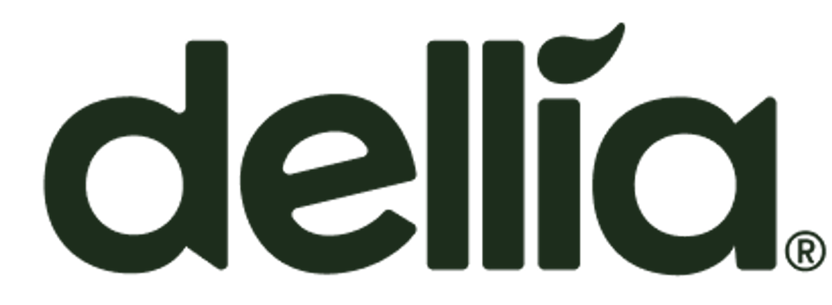 Dellia Group ASA