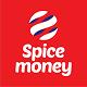 DiGiSPICE Technologies Limited