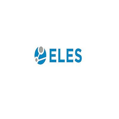 Eles Semiconductor Equipment Avvio del Programma di Acquisto e Disposizione di Azioni Proprie