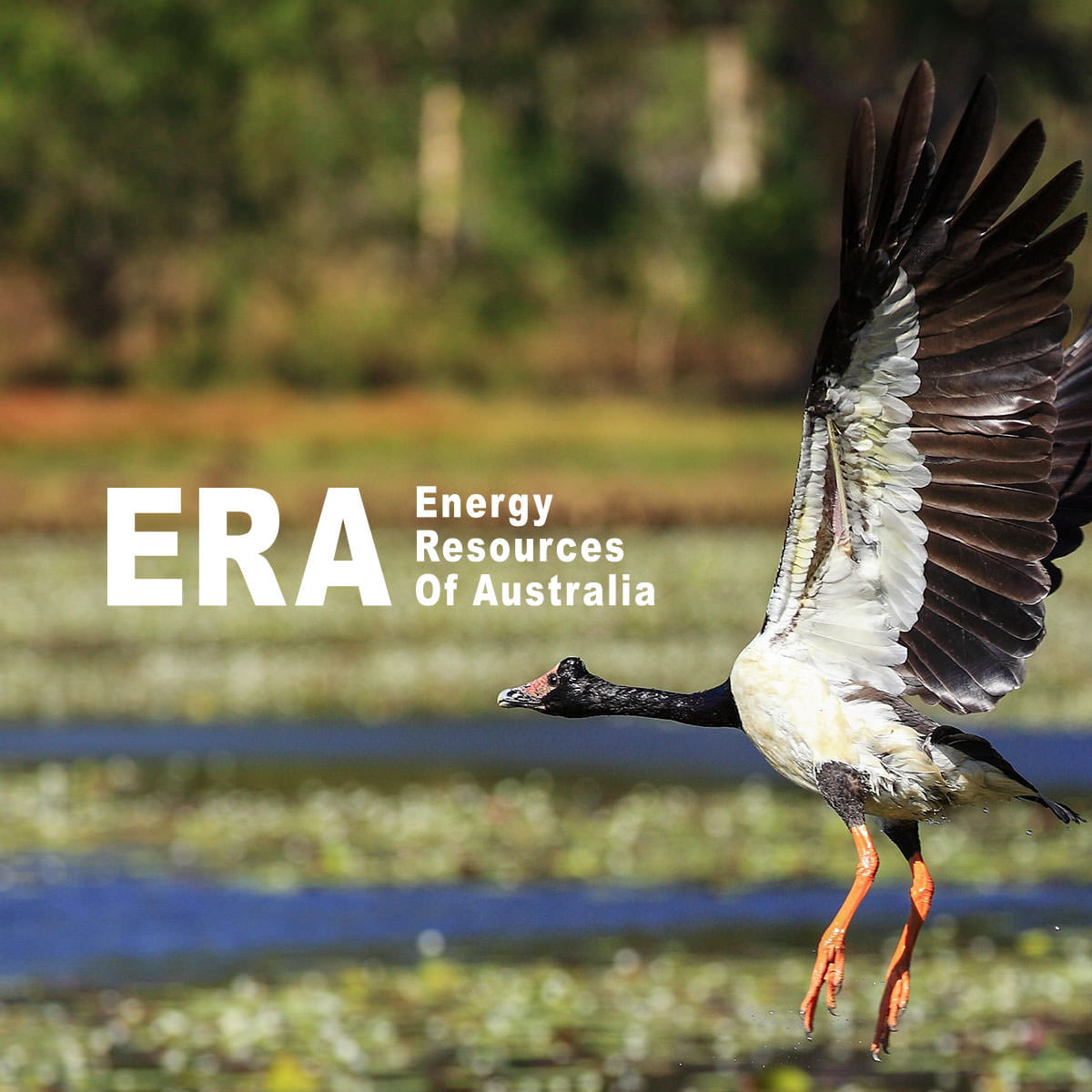 Energy Resources of Australia Limited