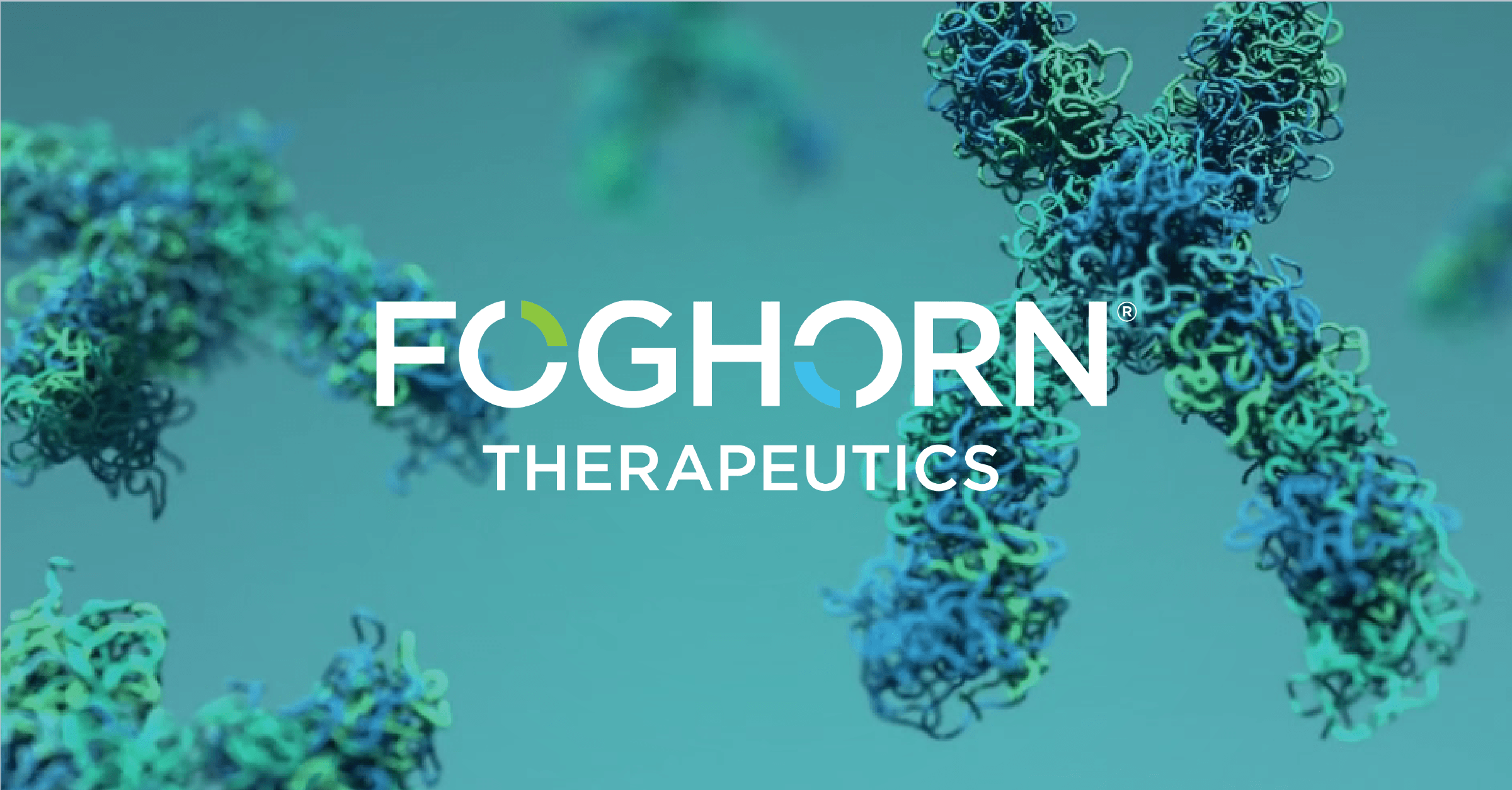 Foghorn Therapeutics Inc.