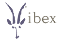 IBEX Ltd