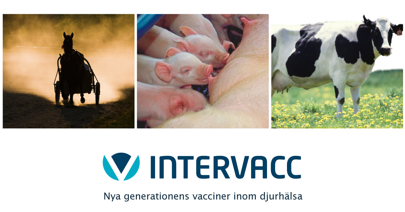 Intervacc AB