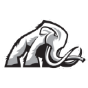 Mammoth Energy Services, INC.
