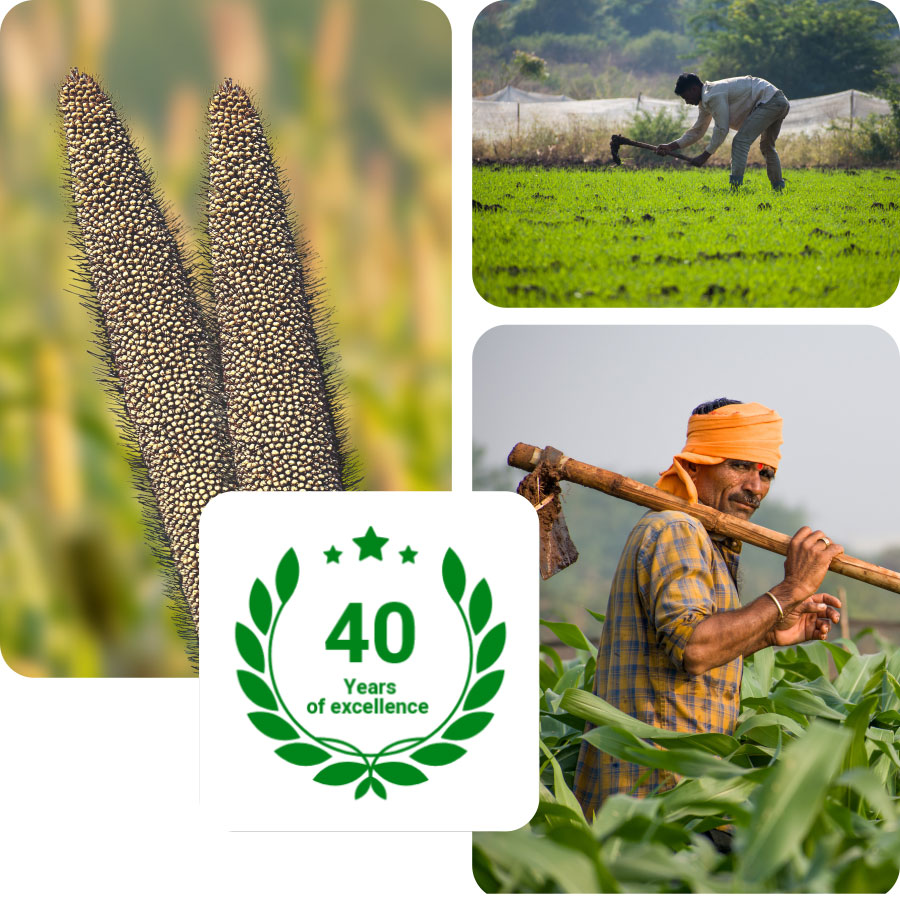 Nath Bio-Genes (India) Limited
