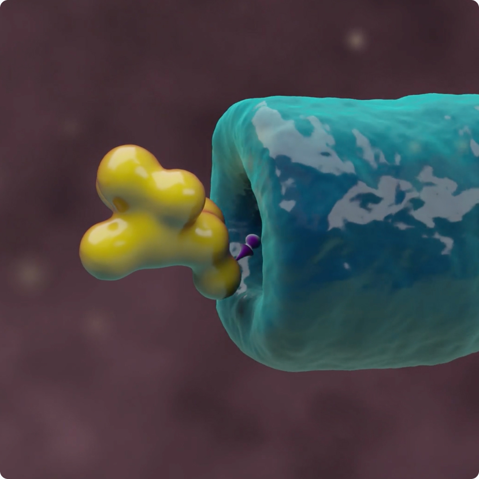 Nurix Therapeutics, Inc.