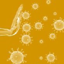 Oncotelic Therapeutics, Inc.