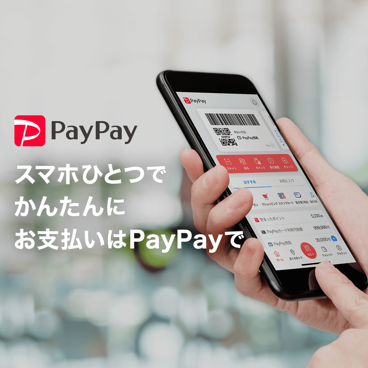 PayPay Corp