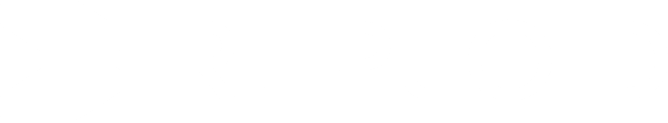 REPLOID Group AG