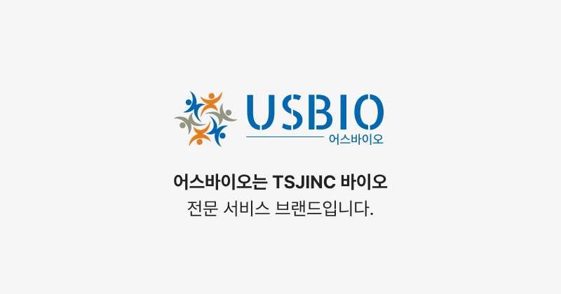 SB성보