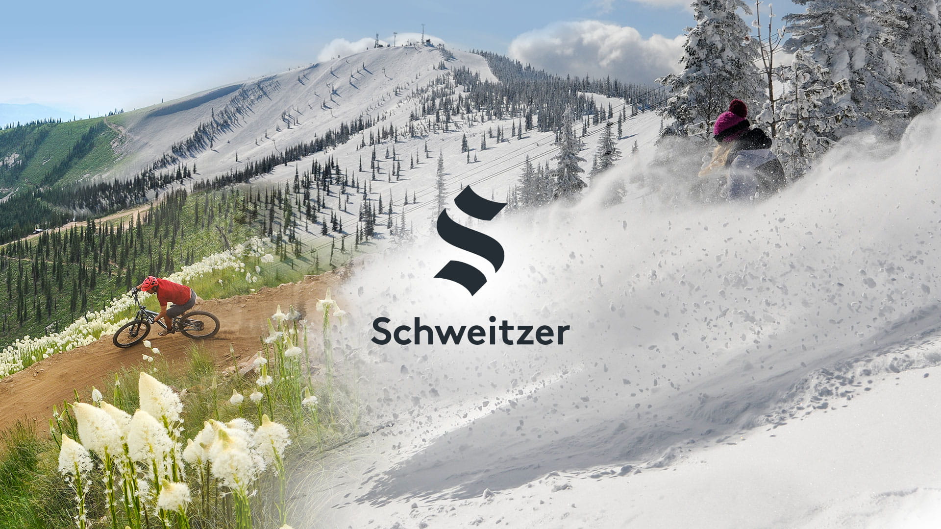 Schweitzer Mauduit International INC