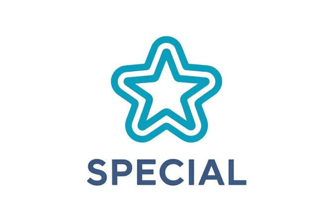 Special Opportunities Fund, INC.
