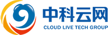 *ST云网