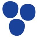 vTv Therapeutics Inc.